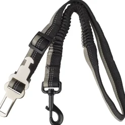 Bilbelte hund