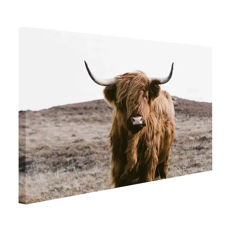 Canvasbilde