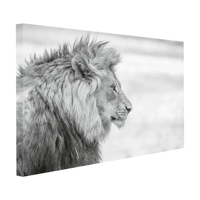 Canvasbilde