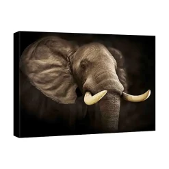 Canvasbilde