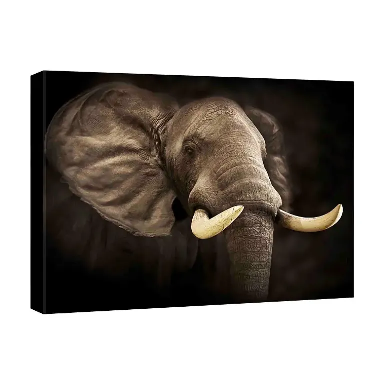 Canvasbilde