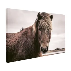 Canvasbilde