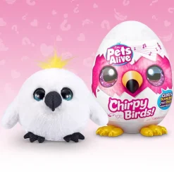 Cirphy bird