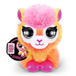Coco Surprise