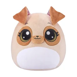 Coco Surprise