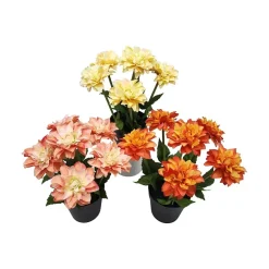 Dahlia 30 cm