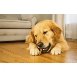 Dental sticks S