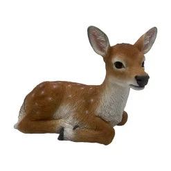 Dåhjort