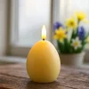 Egglys