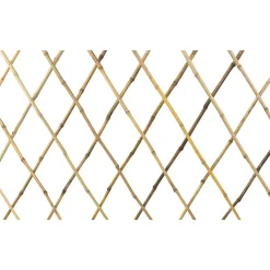 Espalier