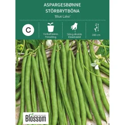 Frø aspargesbønne