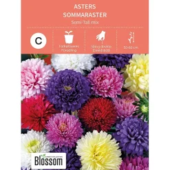 Frø asters