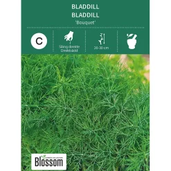 Frø bladdill