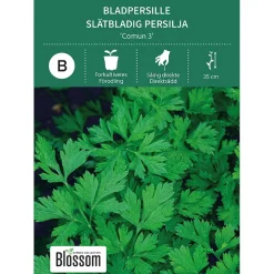Frø bladpersille