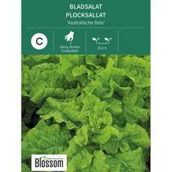 Frø bladsalat