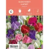 Frø blomsterert