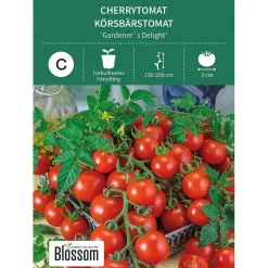 Frø cherrytomat