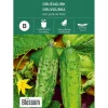 Frø drueagurk