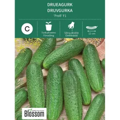 Frø drueagurk