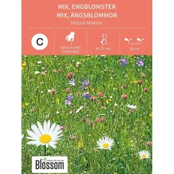 Frø engblomster