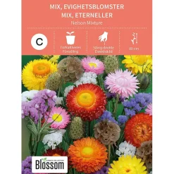 Frø evighetsblomster