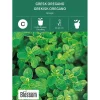 Frø gresk oregano