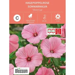 Frø hagepoppelrose