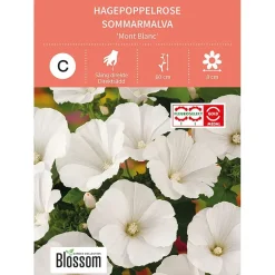 Frø hagepoppelrose