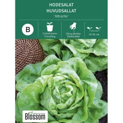 Frø hodesalat