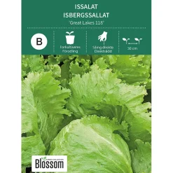 Frø issalat