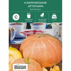 Frø kjempegresskar