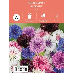Frø kornblomst