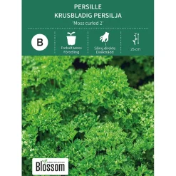 Frø kruspersille