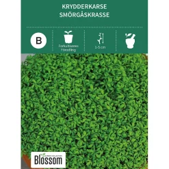 Frø krydderkarse