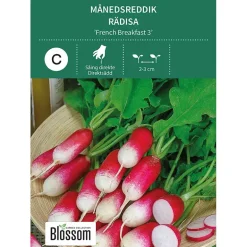 Frø månedsreddik