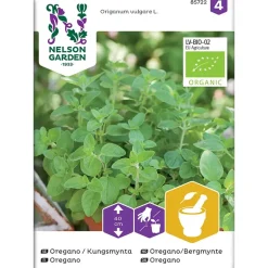 Frø oregano