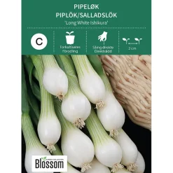 Frø pipeløk