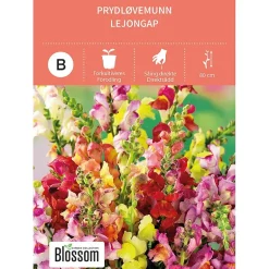 Frø prydløvemunn