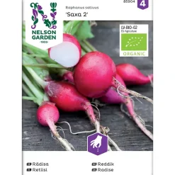 Frø reddik