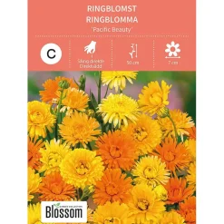 Frø ringblomst