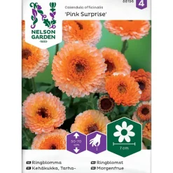 Frø ringblomst