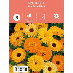 Frø ringblomst