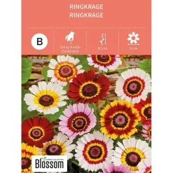 Frø ringkrage