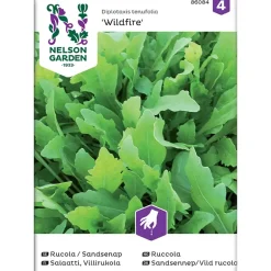 Frø ruccola
