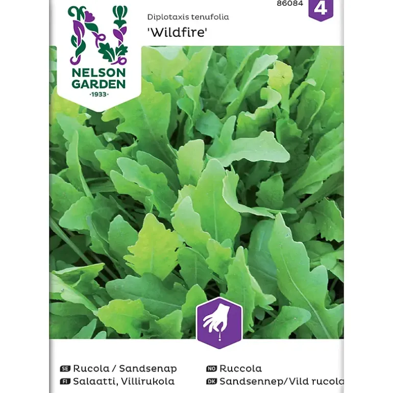 Frø ruccola