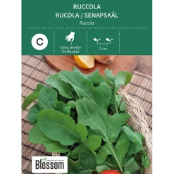 Frø salatsennep/ruccola