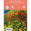 Frø signetfløyelsblomst
