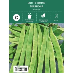 Frø snittebønne