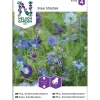 Frø sommerblomster