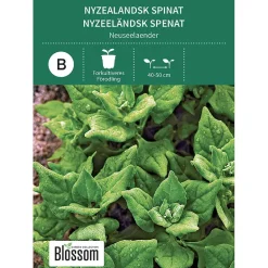 Frø spinat